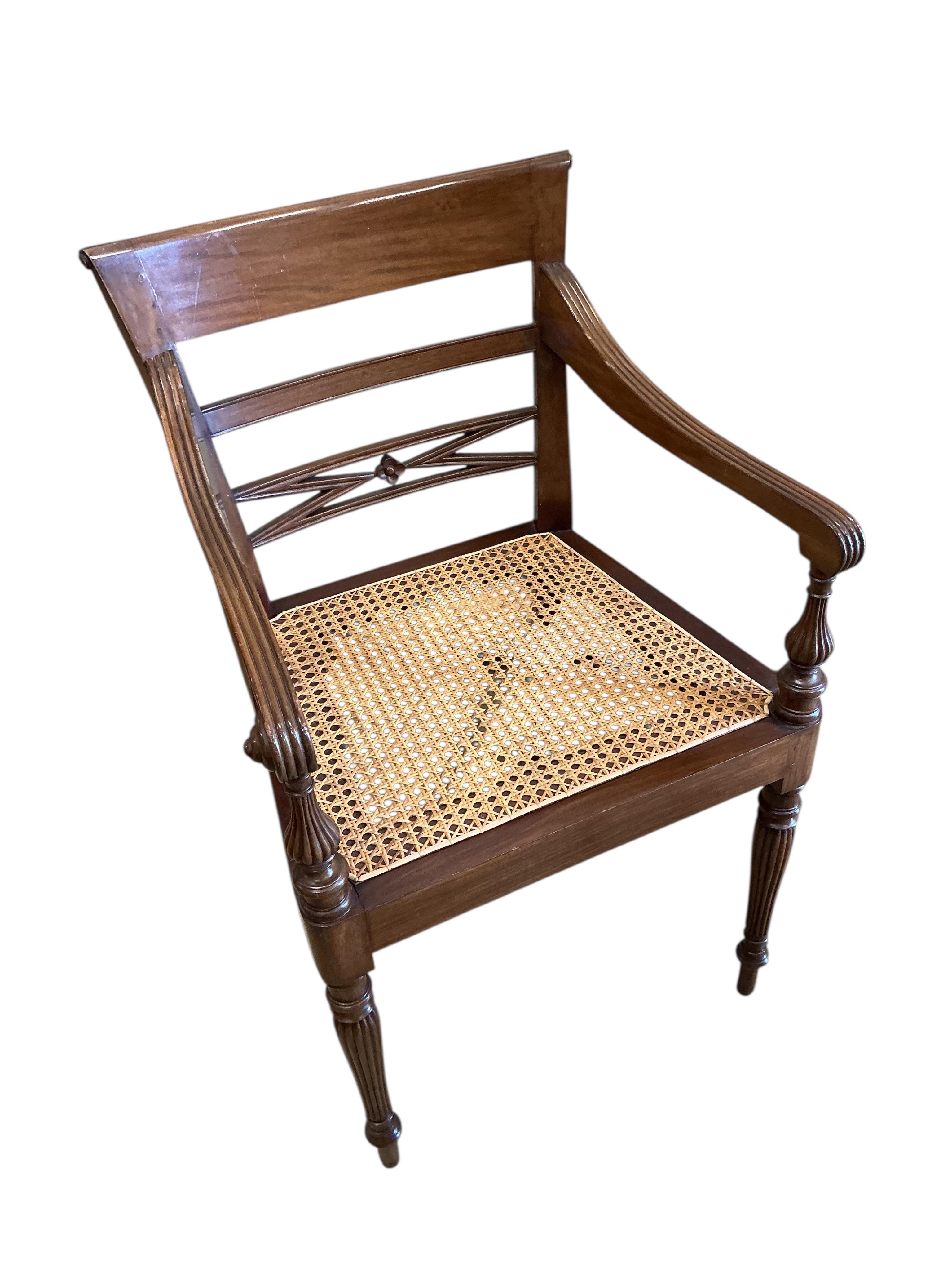 A pair of Regency style cane seat hardwood elbow chairs, width 54cm, depth 46cm, height 88cm